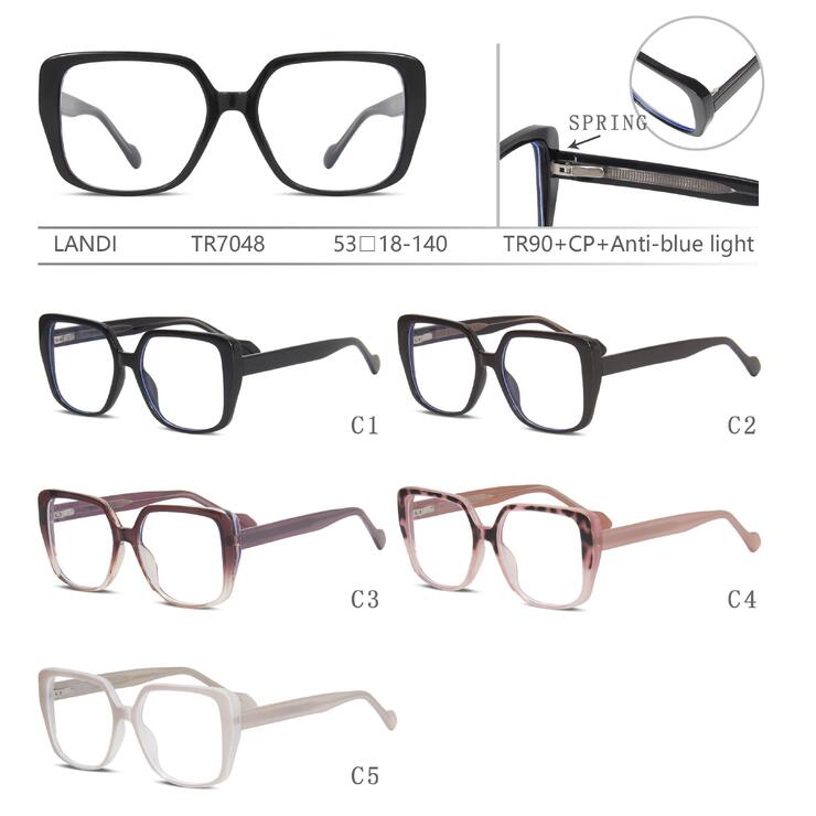 Protective plastic TR90+CP glasses with anti-blue light lenses with spring hinges Landi LD-TR7048