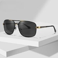 Photochromic glasses with blue light and UV protection 2873-GT