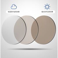 Photochromic glasses with blue light and UV protection 9659-GT