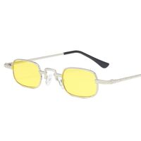 Metal sunglasses with UV400 protection 2883-GT