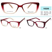 Frames plastic eyeglass VIZZINI V8206