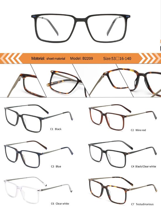 Plastic acetate frame for men with spring hinges B2209-DA