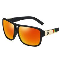 Polarized plastic sunglasses with UV400 protection D008-GT