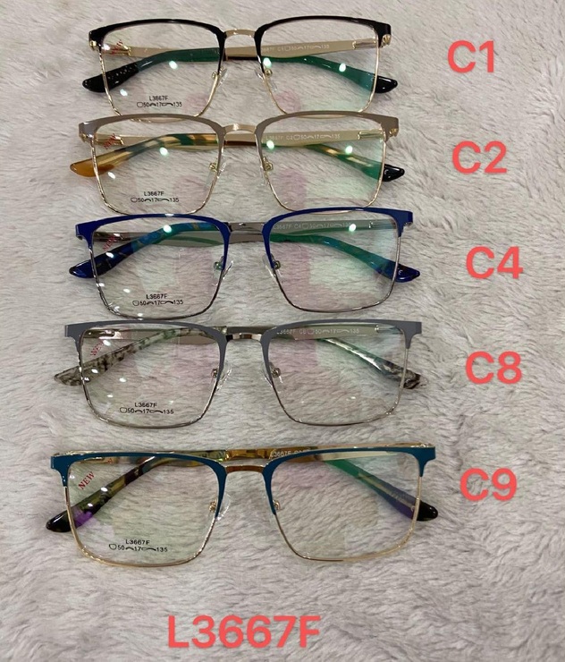 Metal frames for glasses L3667F