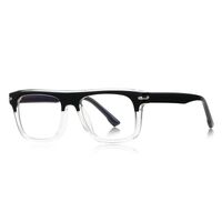 Plastic TR90 frames for glasses with Blue Ray Cut protection and flex hinges FOCUS FCS2199