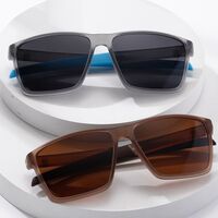 Пластиковые поляризационные солнцезащитные очки в ретро-квадратной оправе Elit 23G27-EL