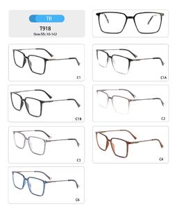 Plastic TR90 frame for women with spring hinges T918-DA