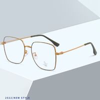 Оправа металлическая с линзами Blue Ray Cut MAMO H5543