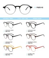 TR90 plastic frame for glasses FG05-10