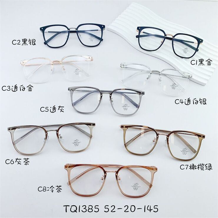 Hybrid frame, metal +tr90, with Blue Block protection SANTA TQ1385