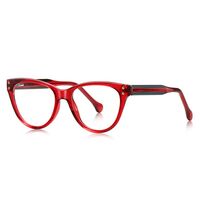 Plastic TR90 frame for glasses with UV protection More LS102