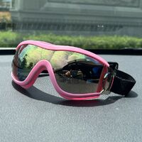 Safety shockproof sports childrens goggles S42炫彩-DX