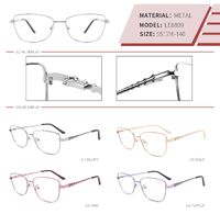 Metal frame with spring hinges LE8809-DA