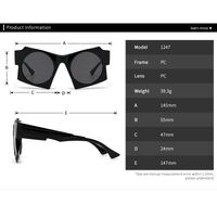 Plastic sunglasses for men Elit 1247-EL