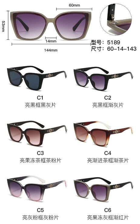 PC plastic sunglasses with metal hinge 5189W