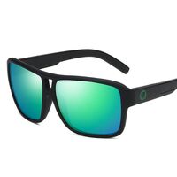 Polarized plastic sunglasses with UV400 protection D008-GT