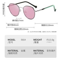 Photochromic glasses with blue light and UV protection 9664-GT