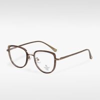 Combined frame (metal + TR90) with Blue Ray Cut protection lenses MAMO S11822