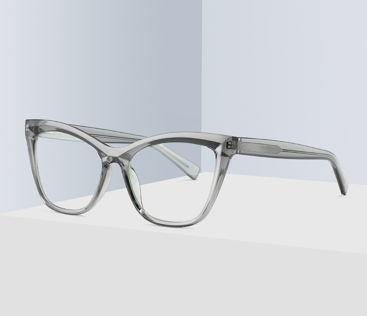 Plastic frames for glasses TR90+CA material (flex hinges) FOCUS FCS2021