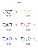 Оправа пластиковая, материал TR-90+CA (флекс!) FOCUS FCS2070