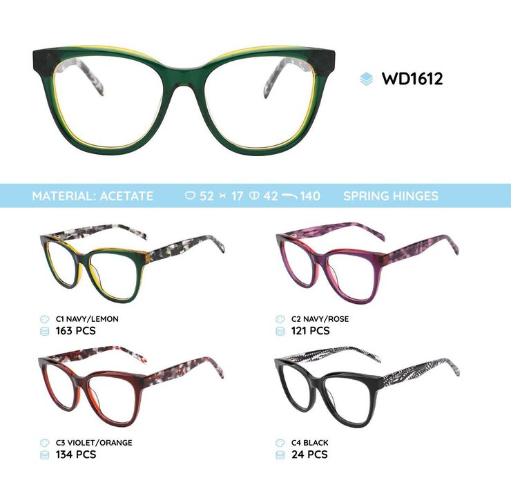 Plastic acetate eyeglasses frame with spring hinges WD1612