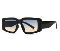 Sunglasses Elit modern model 2237