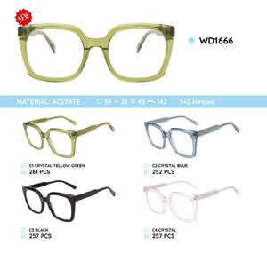 Plastic acetate eyeglasses frame with spring hinges WD1666