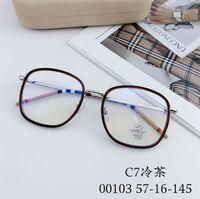 Hybrid frame, metal + TR90, with Blue Block coating SANTA 00103