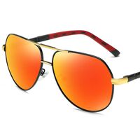 Polarized metal sunglasses with UV400 protection 2850-GT