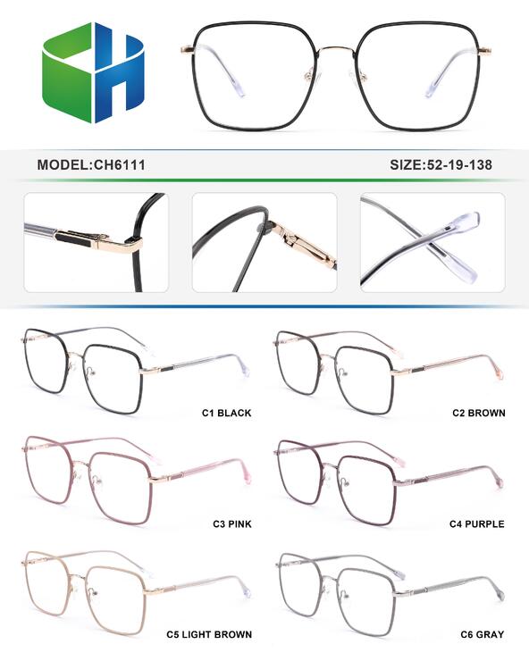 Оправа металлическая с флексом CH6111-DA