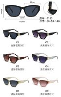 PC plastic sunglasses with metal hinge 6133W