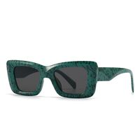 Plastic frame with UV400 protection lenses Elit 9137-EL-2