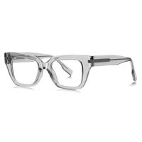 Plastic TR90 frame for glasses with UV protection More LS001
