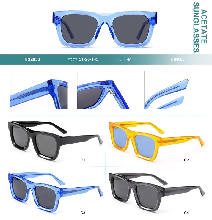 Polarized acetate plastic sunglasses Big City HS2853