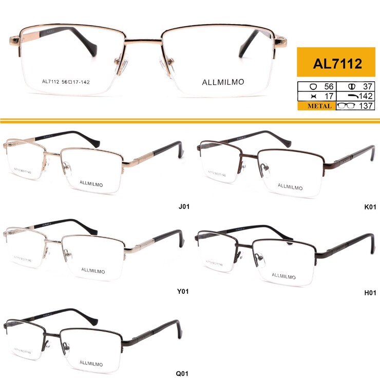Metal eyeglass frame, material steel Allmilmo AL7112