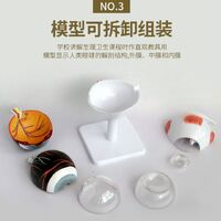 Anatomical eye model, collapsible, scale 3:1