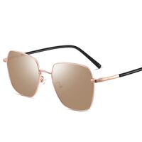 Photochromic glasses with blue light and UV protection 9651-2-GT