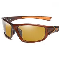 Polarized plastic sunglasses with UV400 protection D120-GT