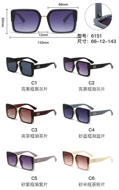 PC plastic sunglasses with metal hinge 6151W