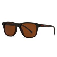 Plastic polarized men's sunglasses Elit 2384-EL