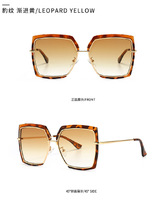Sunglasses Elit stylish 2178-1