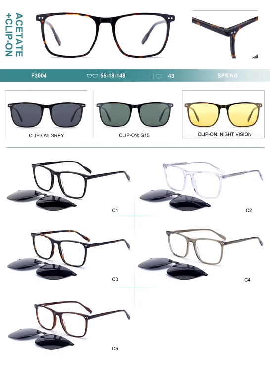 Plastic acetate frame with spring hinges + polarized clip-on Big City F3004S