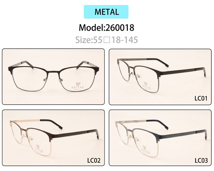 Metal eyeglasses frame for men with spring hinges 260018 (item in stock)