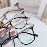 Hybrid frame, metal + TR90, with Blue Block coating SANTA M8045