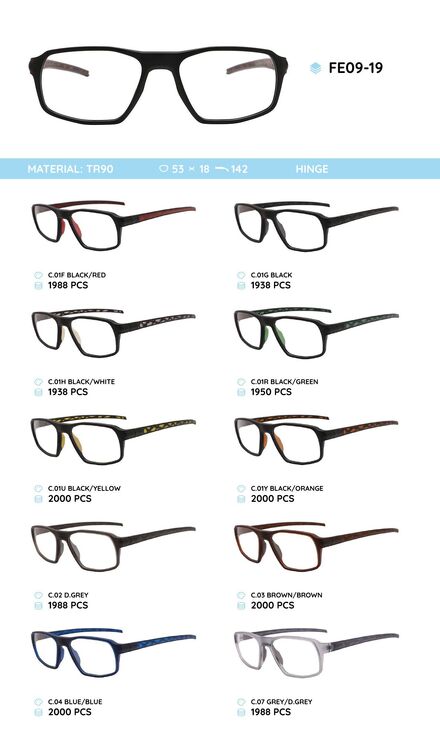 TR90 plastic eyeglasses frame for men FE09-19