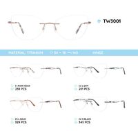 Titanium frames TW3001