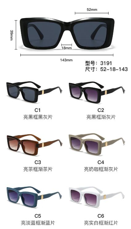 PC plastic sunglasses with plastic hinge 3191W