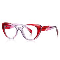Plastic TR90 frames for glasses with Blue Ray Cut protection and flex hinges FOCUS FCS2165