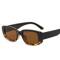 Polarized plastic sunglasses with UV400 protection 9071-GT