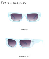 Sunglasses Elit modern cat eye model 3226